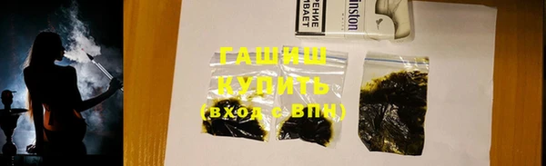 прущие грибы Бородино