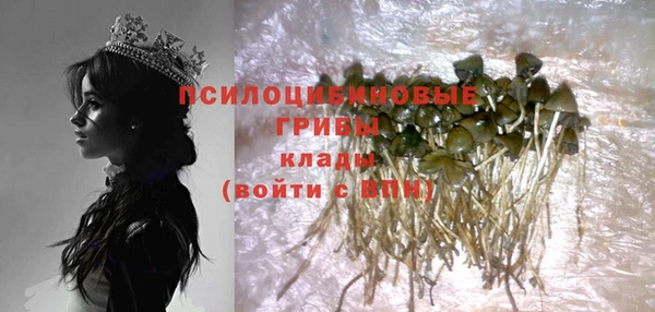 2c-b Липки
