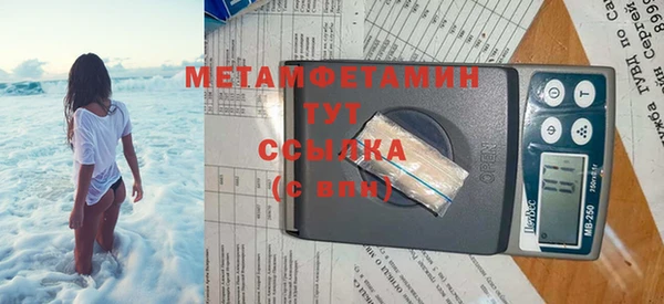 прущие грибы Алагир